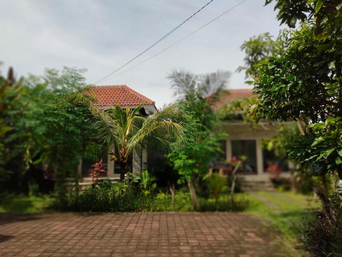 Pier26 Bali Homestay Nusa Dua Kültér fotó