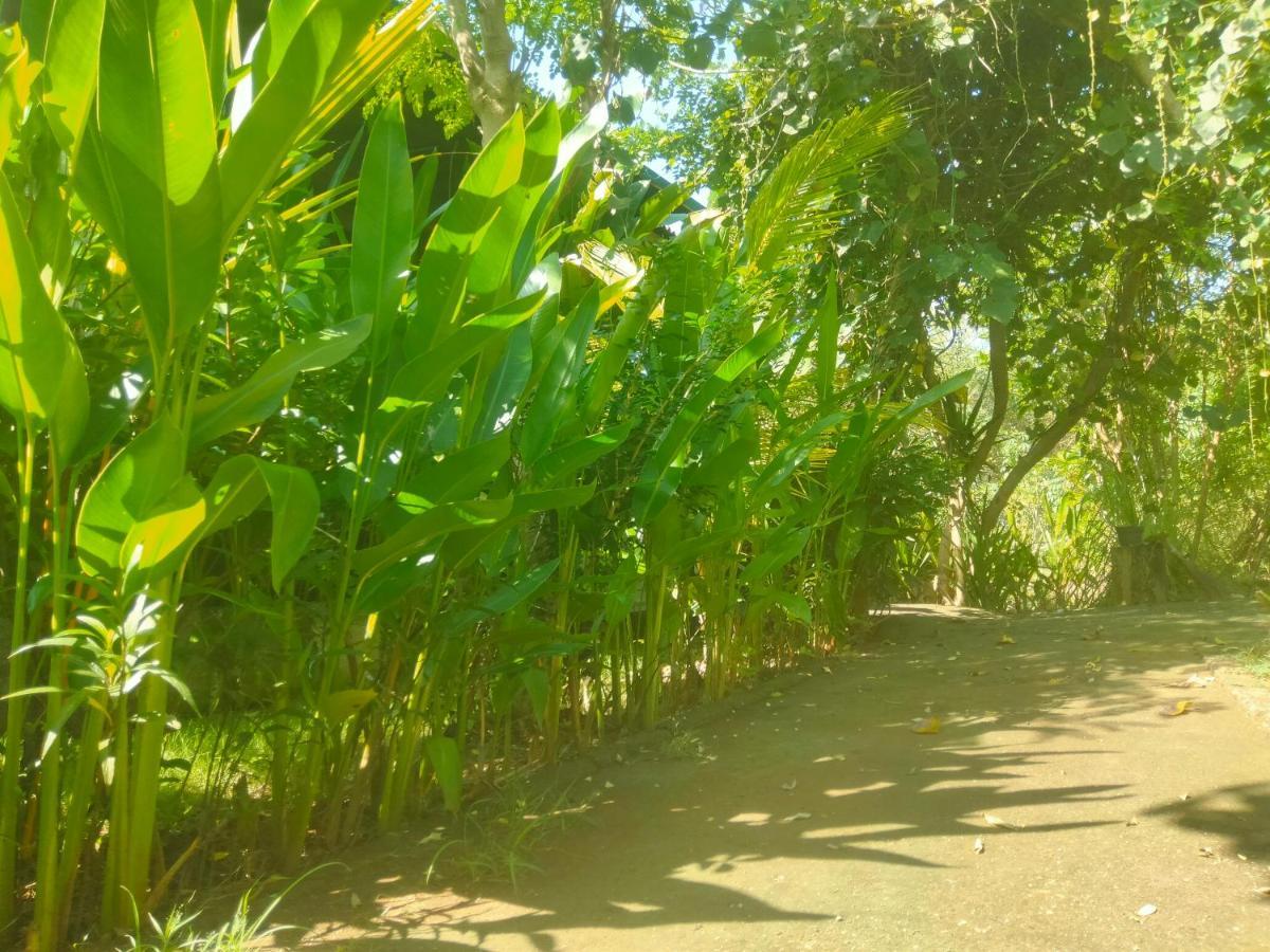 Pier26 Bali Homestay Nusa Dua Kültér fotó